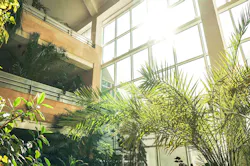 A Broader Cultural Shift Toward Health And Wellness Is Reflected Throughout The Design Industry In The Growth Of Biophilic Design A Broader Cultural Shift Toward Health And Wellness Is Reflected Throughout The Design Industry In The Growth Of Biophilic Design