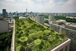 Sometimes Biodiversity Initiatives Can Seem Minimal, But Even Small Scale Planting Can Help Reintroduce Species Into An Area Sometimes Biodiversity Initiatives Can Seem Minimal, But Even Small Scale Planting Can Help Reintroduce Species Into An Area