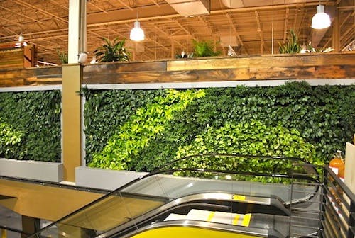 Food store benefits from green wall technology | Building Design ...