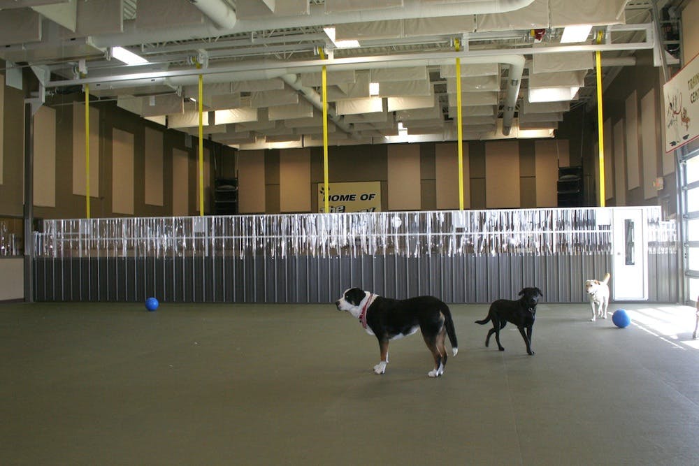 66fb16613695551e26421469 Schweiss20gatewdogs