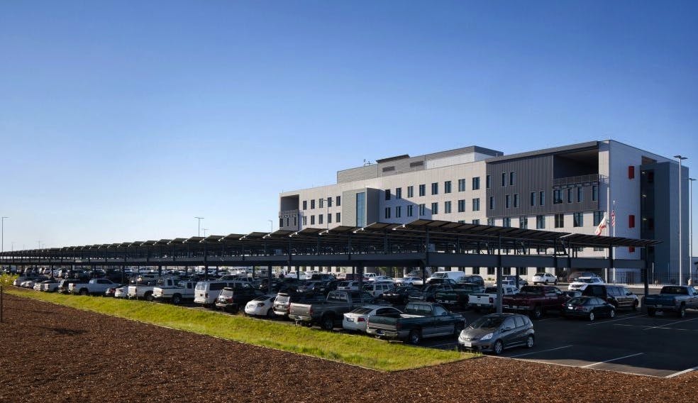 66fb167a691396d0764b9f7a Pic1a