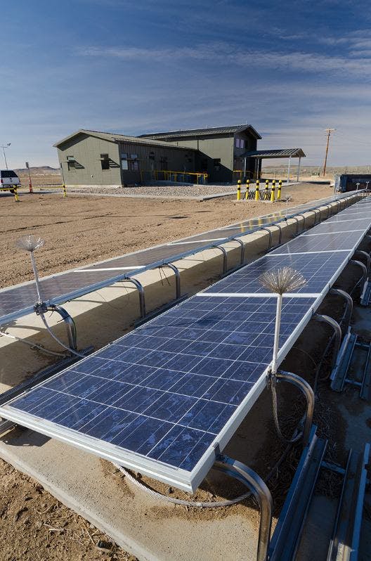 66fb16a046a023765513ca9d Ruby20photo20for20wire1