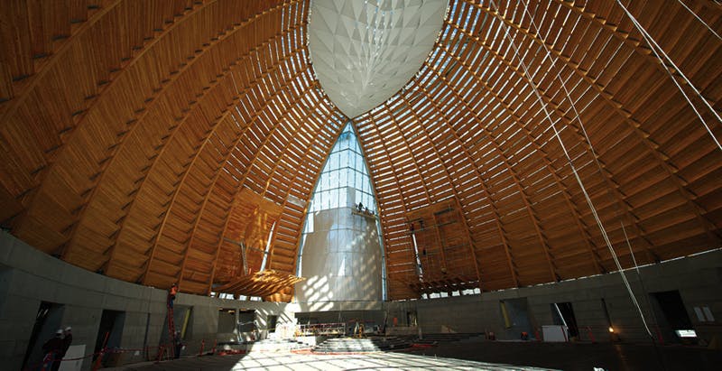 Nature in Design: The Biophilia Effect