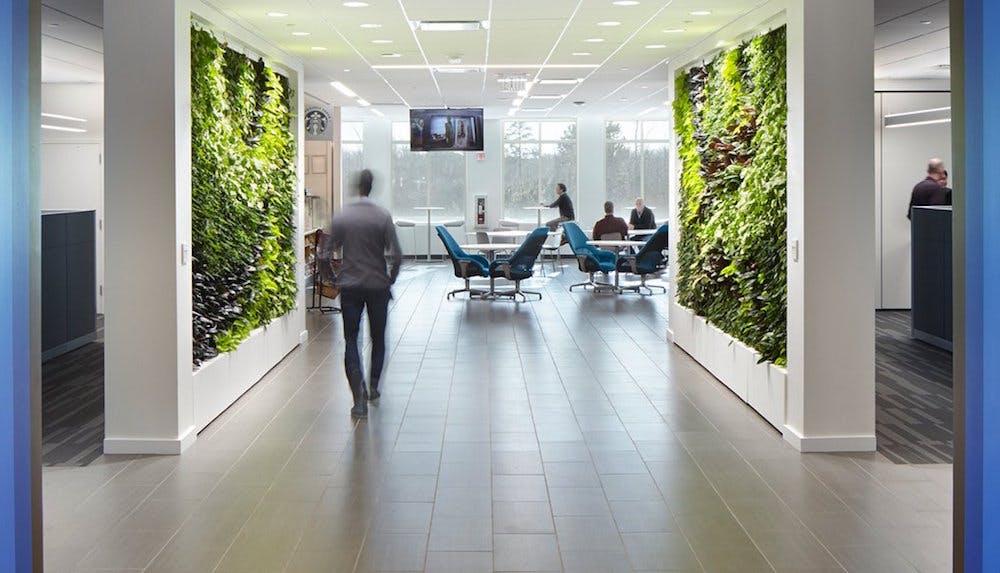 For Employees, Certain Design Strategies Can Lessen Stress, Improve Health, And Promote A Greater Sense Of Community Connectivity, Writes Perkins+will Project Manager Jon Penndorf