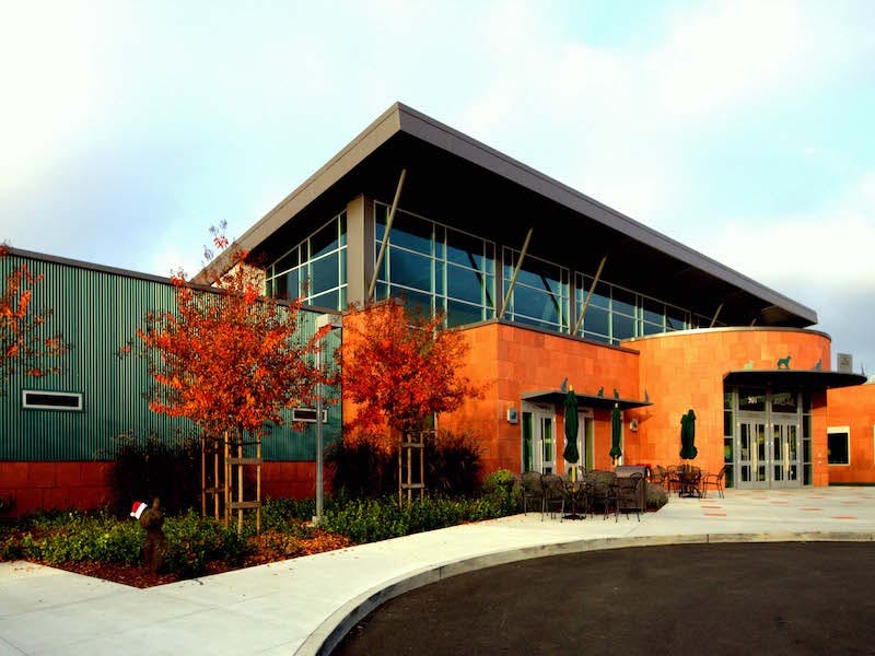 66fb16d246a023789213cb09 Pioneers20320copy