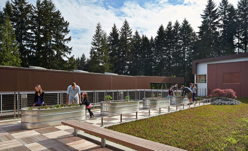 66fb16e13695557e3e4215e5 Screen20shot202017031020at209