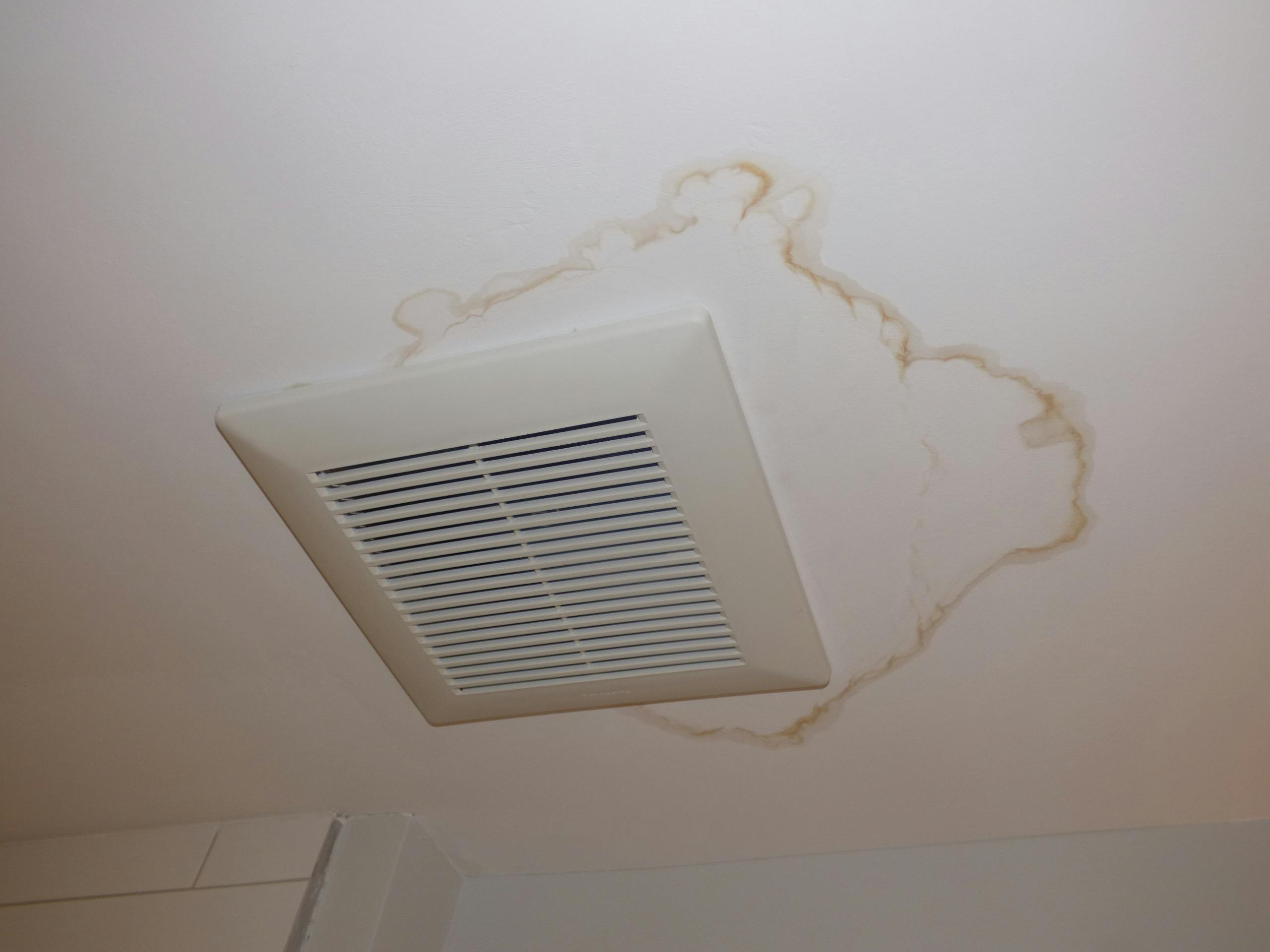 66fb170a1a3f592c83d4fe8b P1200832 0