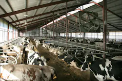 66fb171b1a3f59d411d4fea0 Spring20valley20holsteins209 66fb171b1a3f59d411d4fea0 Spring20valley20holsteins209