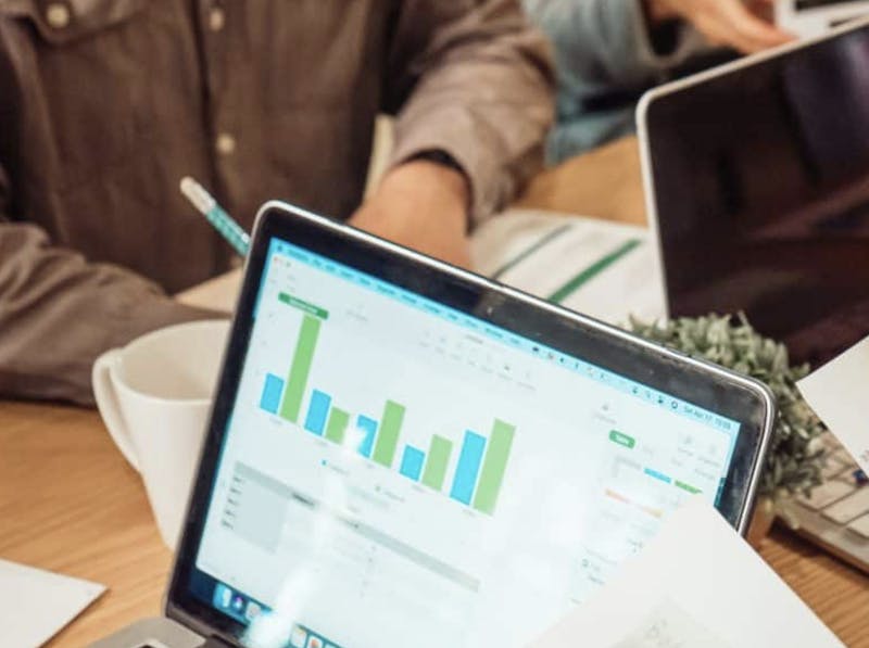 66fb175252301807e707623b Paladino 5