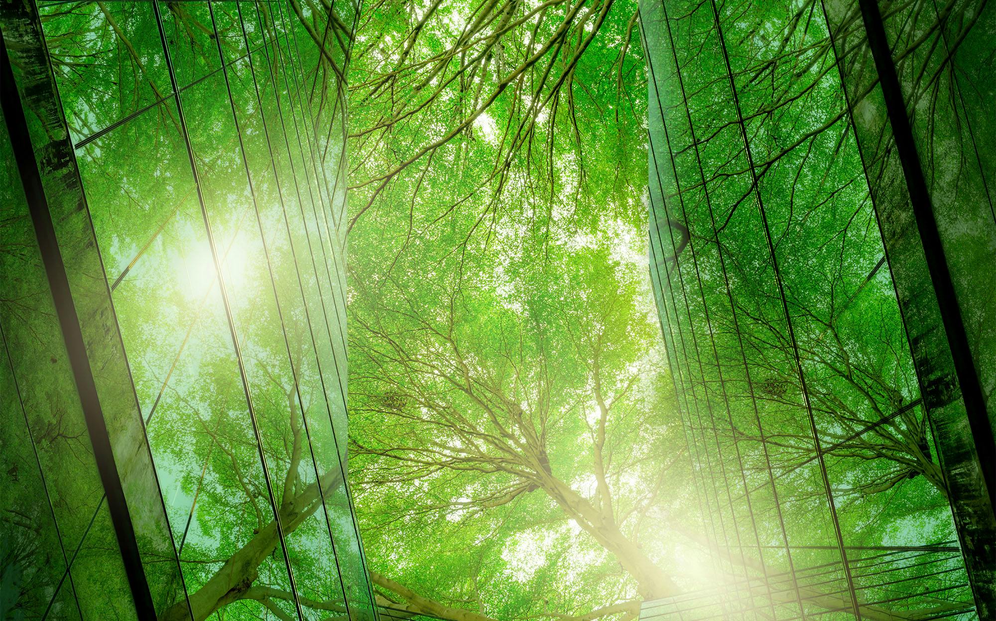 66fb17851a3f5984ccd4ff6e Adobestock 543191807