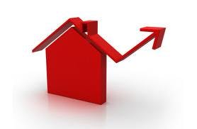 66fb190ef503dd64c6765b35 Images 57