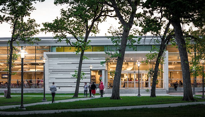 66fb19151bbf3cdaf9542aec Cougar20woods