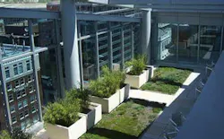 A Washington, D.C., office building incorporates plantings to maximize curb appeal while capturing stormwater runoff. Photo: Tim A Washington, D.C., office building incorporates plantings to maximize curb appeal while capturing stormwater runoff. Photo: Tim
