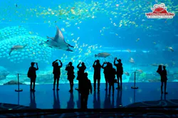 Photos and renderings: courtesy PGAV Destinations and Chimelong Ocean Kingdom Photos and renderings: courtesy PGAV Destinations and Chimelong Ocean Kingdom