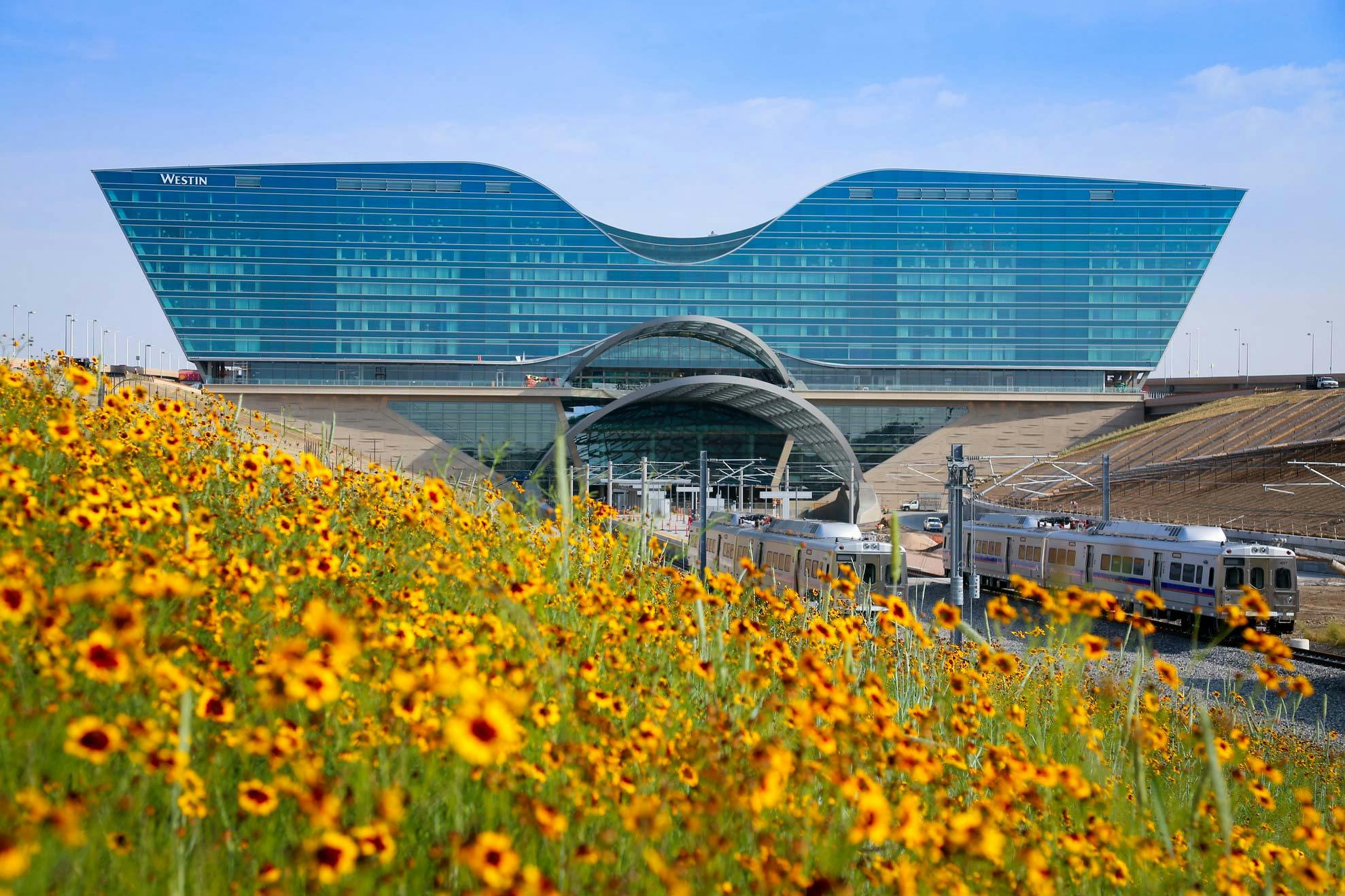 66fb193f2ac3a574d4198ffa Cover202