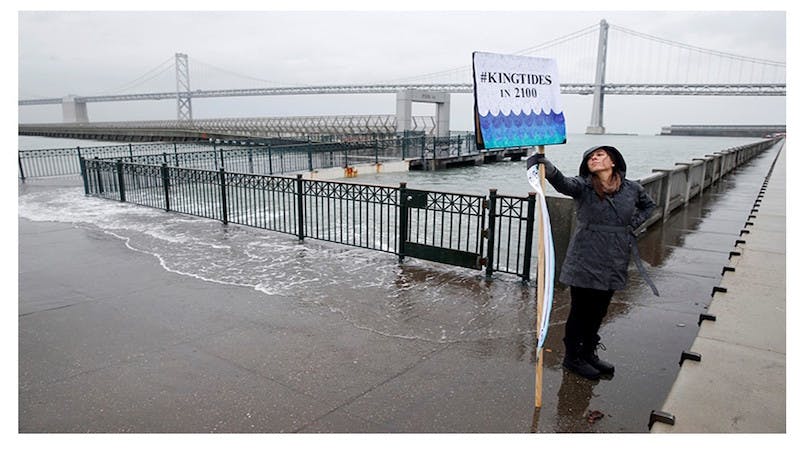 66fb194636955514bb42181a King20tide