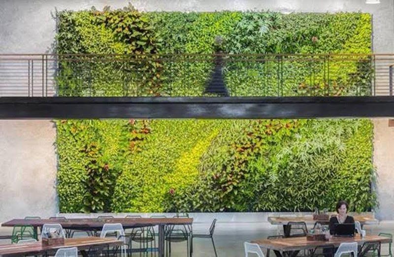 66fb19493695554573421824 Unnamed1