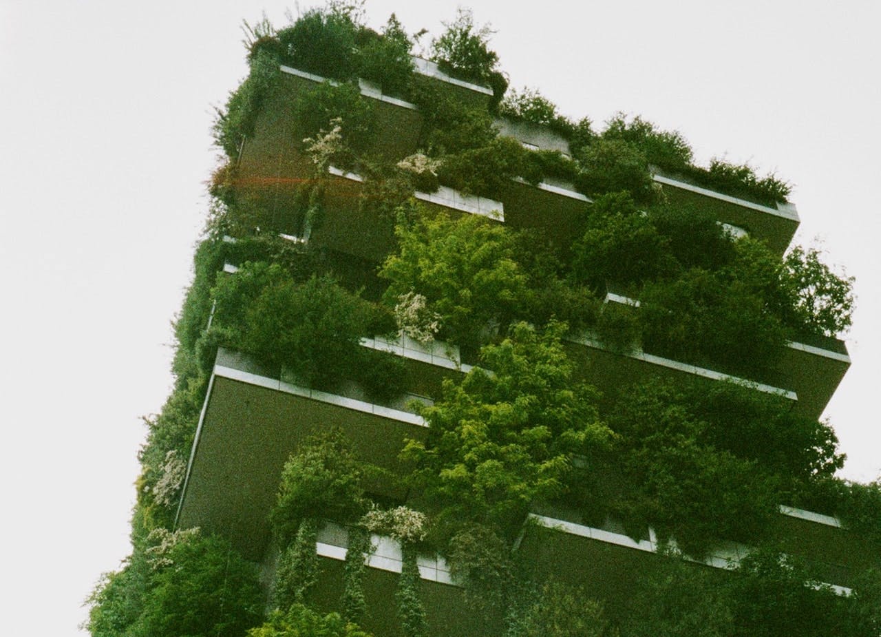 White Building Exterior Surrounded Trees And Gardens 2815150