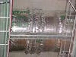 The New System, An Update To The Existing Classification, Results In A 33% Space Saving The New System, An Update To The Existing Classification, Results In A 33% Space Saving