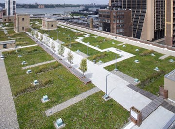 The Green Roof System Would Reduce The Buildings Annual Storm Water Discharge By 51%
