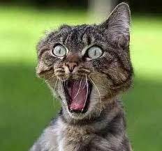 An Old Wall Street Adage Proving True For The Office Market