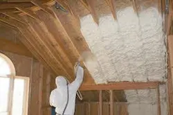 66fb1a9969139639994ba745 Images 43 66fb1a9969139639994ba745 Images 43