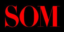66fb1aa6783cc9fb8fd807dd Som Logo