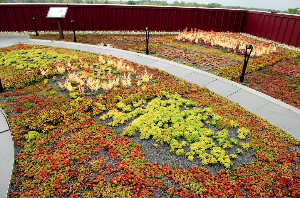 Four types of sustainable roofing systems from Tremco Roofing and Building Maintenance a vegetated roof; photovoltaic array; w