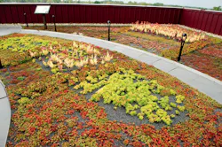 Four types of sustainable roofing systems from Tremco Roofing and Building Maintenance a vegetated roof; photovoltaic array; w Four types of sustainable roofing systems from Tremco Roofing and Building Maintenance a vegetated roof; photovoltaic array; w