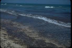 66fb1b8f69139651ba4ba871 Images 30