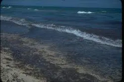 66fb1b8f69139651ba4ba871 Images 30 66fb1b8f69139651ba4ba871 Images 30