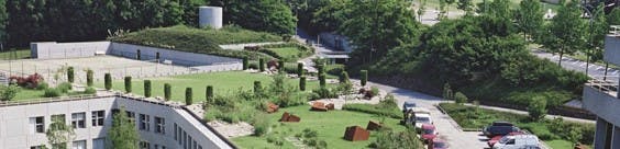 66fb1bd0f503ddd24f76620a Sikasarnafil Greenroof