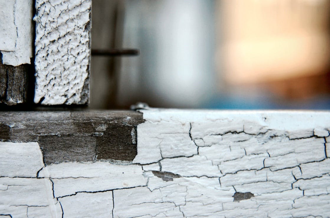 66fb1bde783cc90526d809d0 Paint 8071