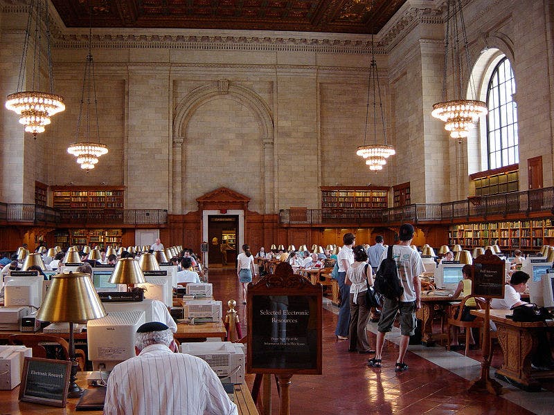 66fb1e2246a023a00713d53b Nypublic