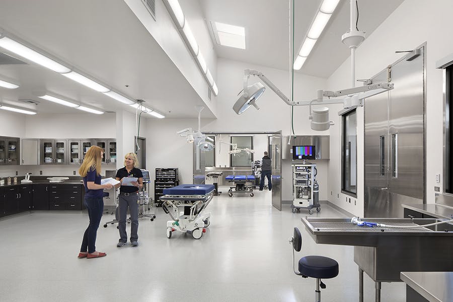 66fb1e3e369555dce3422054 Cwakely313406