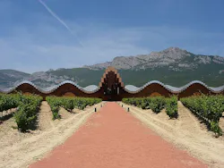 The Ysios winery, also designed by Calatrava, also has had design flaws that resulted in litigation. Photo credit: Roberto Lumbr The Ysios winery, also designed by Calatrava, also has had design flaws that resulted in litigation. Photo credit: Roberto Lumbr