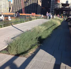 Photo: Epicgenius via Wikimedia Commons Photo: Epicgenius via Wikimedia Commons