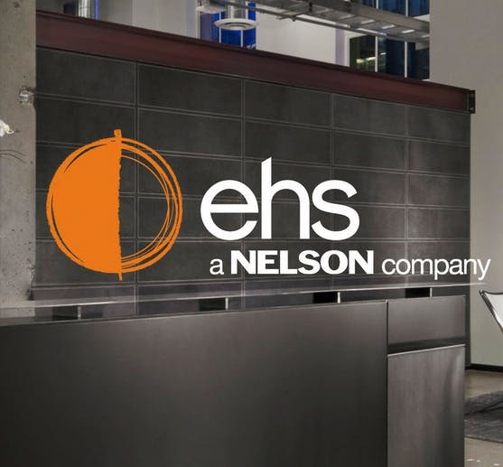 66fb1e7a2ac3a50f931998c6 Nelsonehs