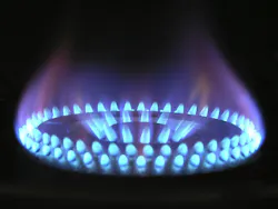 Minimal growth in domestic energy consumption projects over the next 25 years Minimal growth in domestic energy consumption projects over the next 25 years