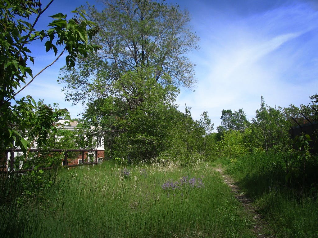 Chicago&rsquo;s 606 elevated park opens this weekend