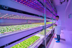 Philips sheds new light on growing fresh food indoors Philips sheds new light on growing fresh food indoors