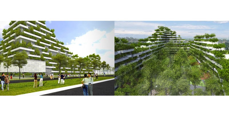 Vietnamese university to turn campus into &lsquo;terraced forest&rsquo;