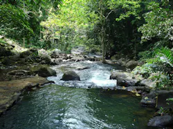 66fb1ef95230187d47076cbb 1280pxsmall Streams 66fb1ef95230187d47076cbb 1280pxsmall Streams