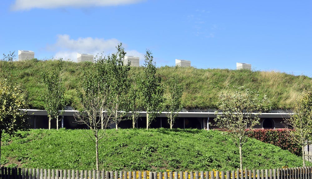 ILFI launches Biophilic Design Initiative