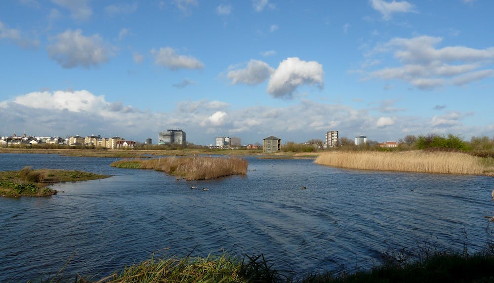 66fb1f5d816f26a38ac3aeaa 2354436773 E73efd78c9 O