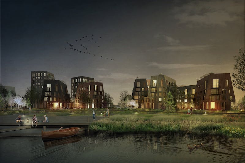 66fb1f60f503dd190b766654 Timber1