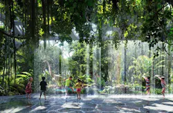 66fb1f78f503dd94e676668a Rainforest203 66fb1f78f503dd94e676668a Rainforest203