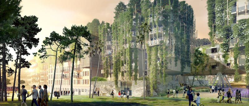 66fb1f7b5230186fb0076dbc Ray