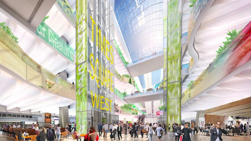 66fb1f861a3f597f42d50b84 Pelli