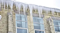 66fb1fcc46a02332eb13d8fb Ice 66fb1fcc46a02332eb13d8fb Ice